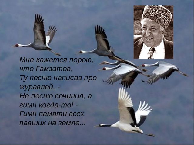 Kraken найдется все