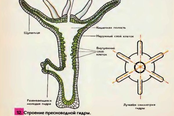 Можно ли вывести деньги с кракена